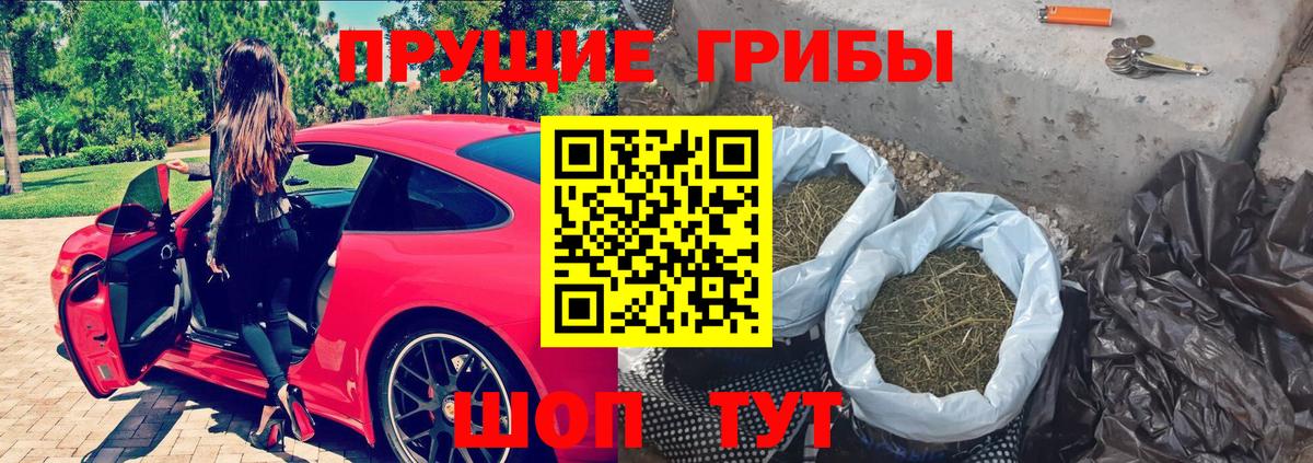 Родники  Галлюциногенные грибы Magic Shrooms  Вход с VPN 